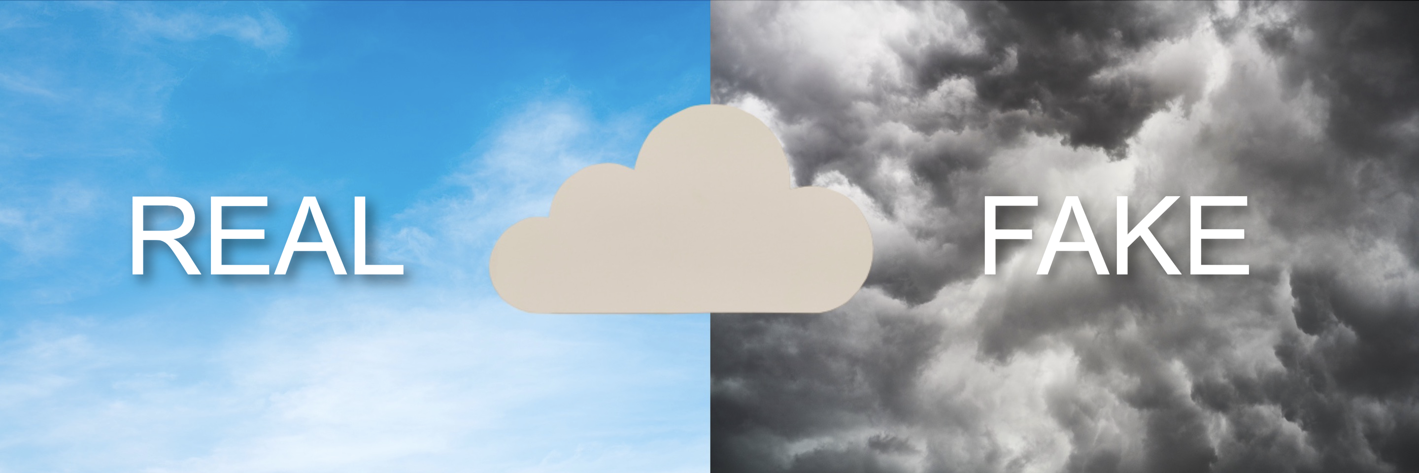 Beware Cloud Washing: 6 Ways to Spot Fake Cloud CRM - SmartData