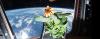 Has NASA Cracked the Formula to Growing Food in Space?